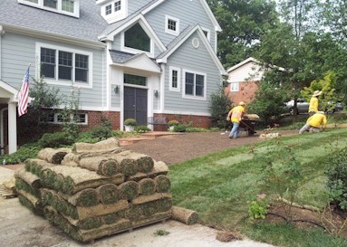 Sod Installation Costs Prices Promatcher Cost Report